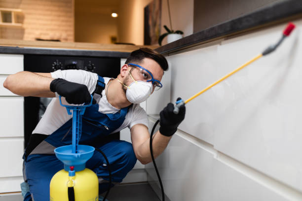 Best Best Pest Control Companies  in Gardnertown, NY
