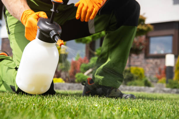 Flea Control Services in Gardnertown, NY
