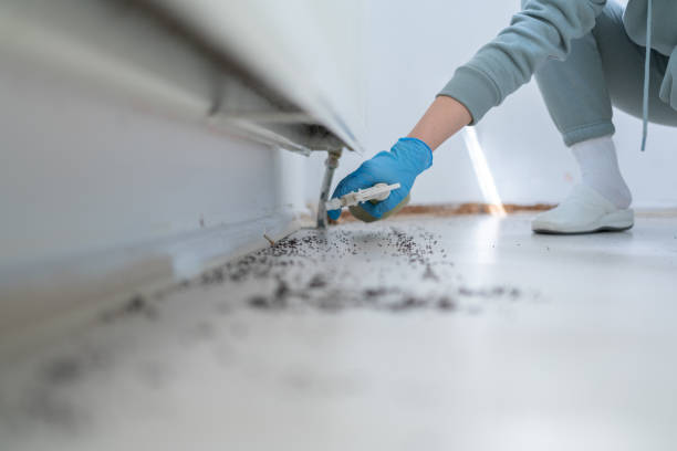 Best Pest Control for Restaurants  in Gardnertown, NY